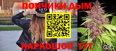 гашик Ливны