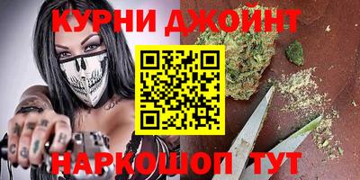 гашик Ливны